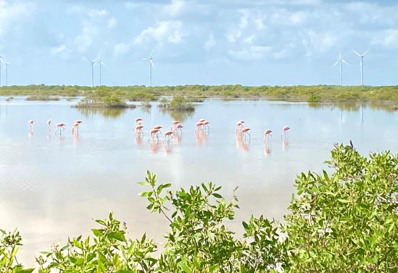 La Casa Del Mangle Villa Chicxulub Bagian luar foto