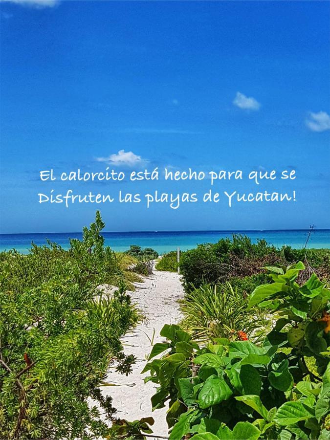 La Casa Del Mangle Villa Chicxulub Bagian luar foto
