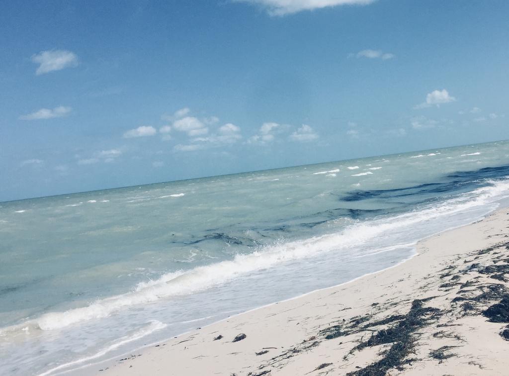La Casa Del Mangle Villa Chicxulub Bagian luar foto